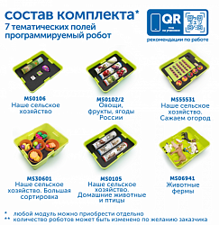 MS0103 Природные богатства России с РобоМышью с системой хранения (2 робота)