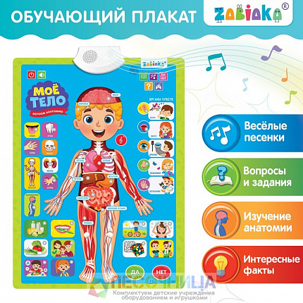 Обучающий плакат «Изучаем анатомию: Моё тело»