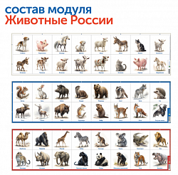 MS0104 Природные богатства России с РобоМышью с системой хранения (4 робота)