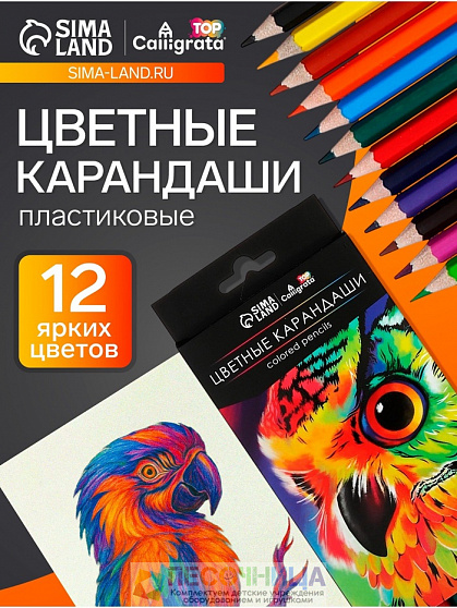 Карандаши цветные, 12 цветов,  TOP, шестигранные, пластиковые