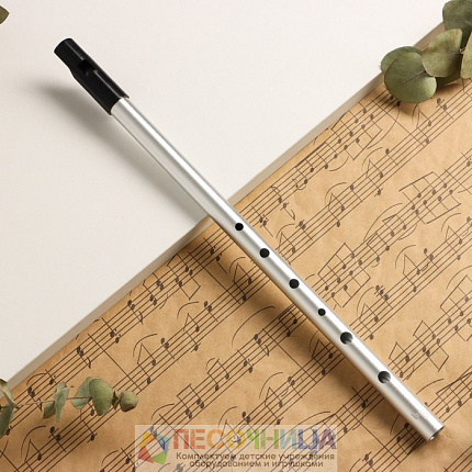 Флейта Music Life "bB"